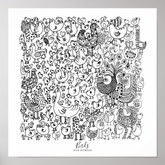 Poster Illustration d'oiseaux en noir et blanc (Devant)