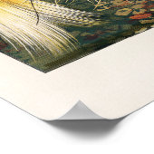 Poster Illustration d'oiseaux vintages (Coin)