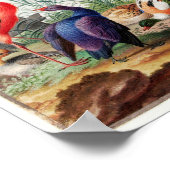 Poster Illustration d'oiseaux vintages (Coin)