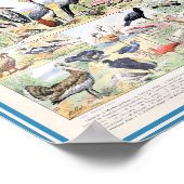 Poster Illustration d'oiseaux vintages (Coin)