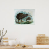 Poster Illustration d'oiseaux Vintages de Kiwi Brown Nort (Cuisine)