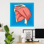 Poster Illustration d'organe