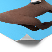 Poster Illustration drôle curieuse de dessin animé de coa (Coin)