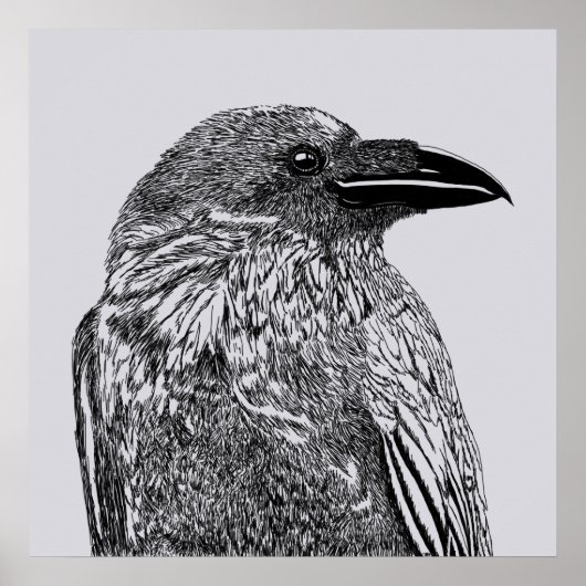 Poster Illustration du corbeau (Devant)
