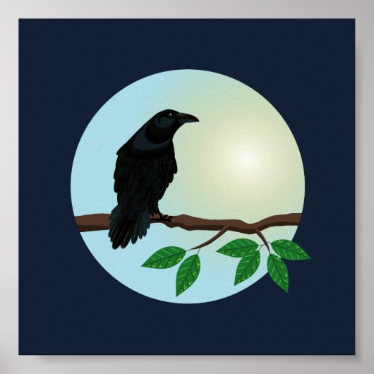 Poster Illustration du Corbeau commun (Devant)