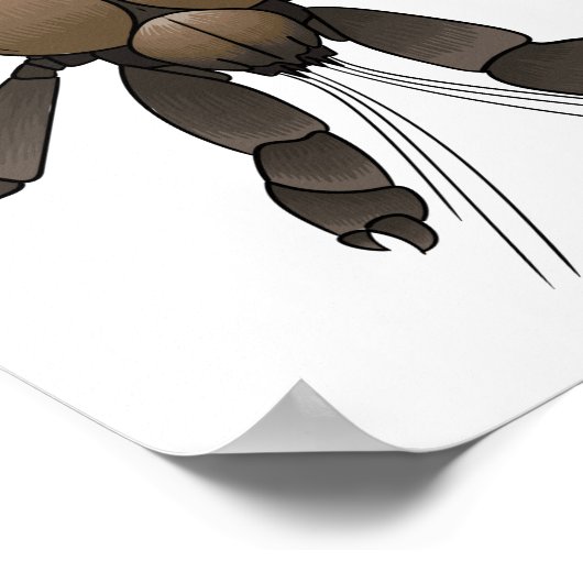 Poster Illustration du crabe de coco (Coin)