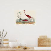 Poster Illustration du Flamant rose vintage (Cuisine)