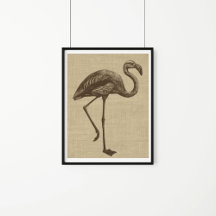 Illustration du Flamant rose vintage sur Burlap