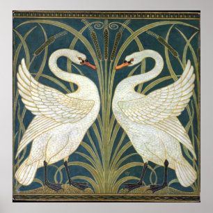 Poster Illustration du fond d'écran Swan and Rush et Iris