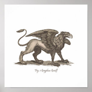 Poster illustration du griffin Vintage (gryphus greiff).