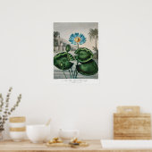 Poster Illustration du Nénuphar vintage (Cuisine)