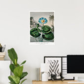 Poster Illustration du Nénuphar vintage (Bureau à domicile)