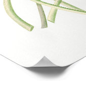 Poster Illustration du Nénuphar vintage (Coin)