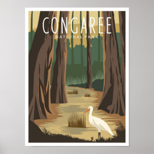 Poster Illustration du parc national de Congaree en Carol