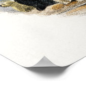 Poster Illustration du phoque vintage (Coin)