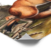 Poster Illustration du Renard rouge américain (Vulpes Ful (Coin)