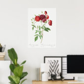 Poster Illustration du Rose vintage (Bureau à domicile)