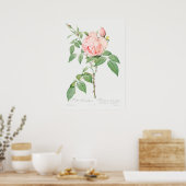 Poster Illustration du Rose vintage (Cuisine)