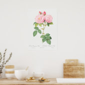 Poster Illustration du Rose vintage (Cuisine)