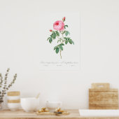Poster Illustration du Rose vintage (Cuisine)