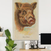 Poster Illustration du sanglier vintage (1888) (Bureau à domicile)