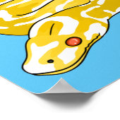 Poster Illustration du serpent python birman (Coin)