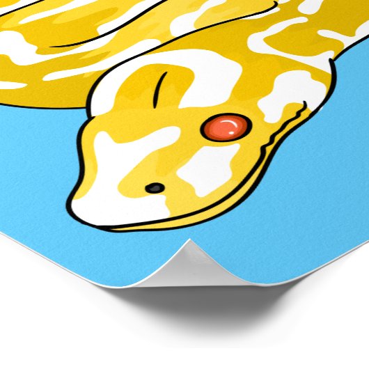 Poster Illustration du serpent python birman (Coin)