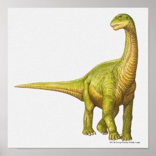 Poster Illustration d'un Camarasaurus