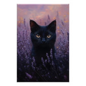 Poster Illustration d'un chat noir dans un champ de lavan (Devant)