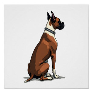 Poster Illustration d'un chien Boxer vintage vu de dos Ma