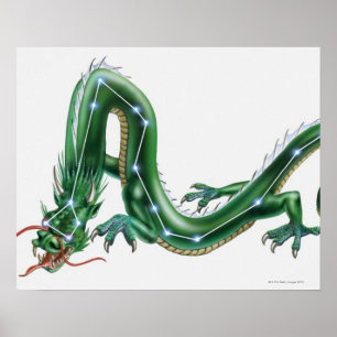 Poster Illustration d'un dragon avec le Dragon (Draco)