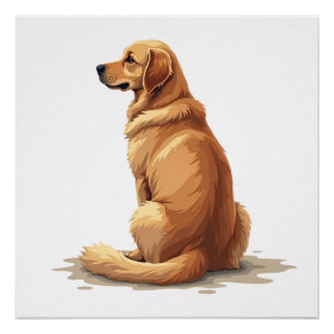 Poster Illustration d'un Golden Retriever vu de dos pour