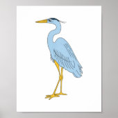 Poster Illustration d'un héron bleu côtier dessinée à la (Devant)