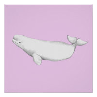 Illustration d'un livre de baleines béluga très él