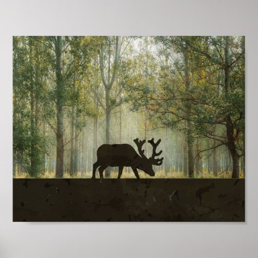 Poster Illustration d'un orignal dans la forêt (Devant)