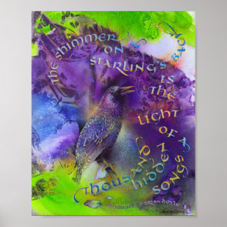 Poster Illustration et calligraphie d'étourneau