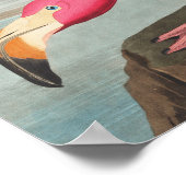 Poster Illustration Flamant rose rose (Coin)