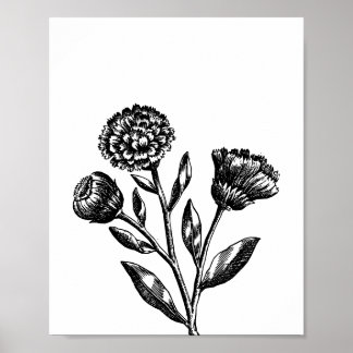 Poster Illustration Florale Minimaliste en Noir
