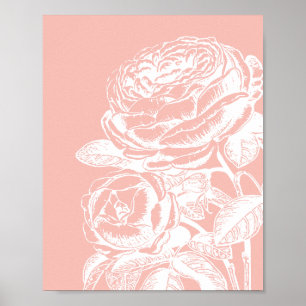 Poster Illustration florale vintage Botanique rose