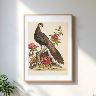 Poster Illustration florale vintage du majestueux oiseau