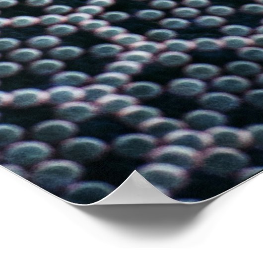 Poster Illustration gris (Coin)