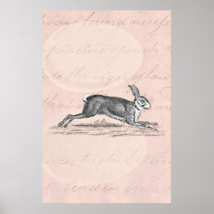 Poster Illustration lapin lièvre vintage - lapins