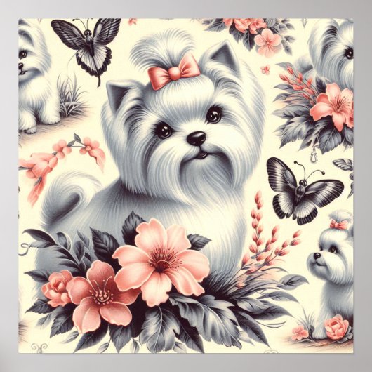 Poster Illustration maltaise vintage (Devant)