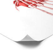 Poster Illustration Médicale Des Muscles Armés Humains (Coin)