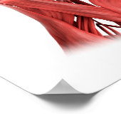 Poster Illustration Médicale Des Muscles Faciaux Hommes 2 (Coin)