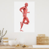 Poster Illustration Médicale Des Muscles Hommes Courant 2 (Cuisine)