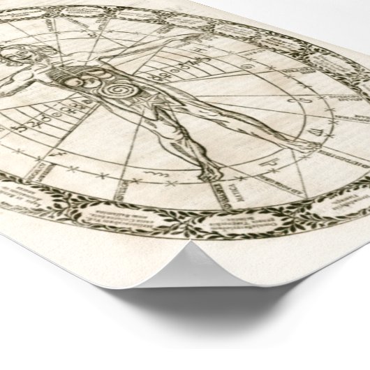 Poster Illustration Microcosmos (Coin)