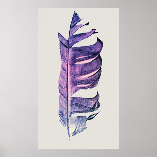 Poster Illustration originale de dessin de plumes (Devant)