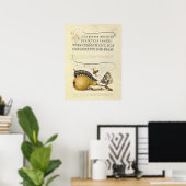 Poster Illustration Papillon Abeille Fruit Insecte (Bureau à domicile)