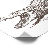 Poster Illustration réaliste d'alligator (Coin)